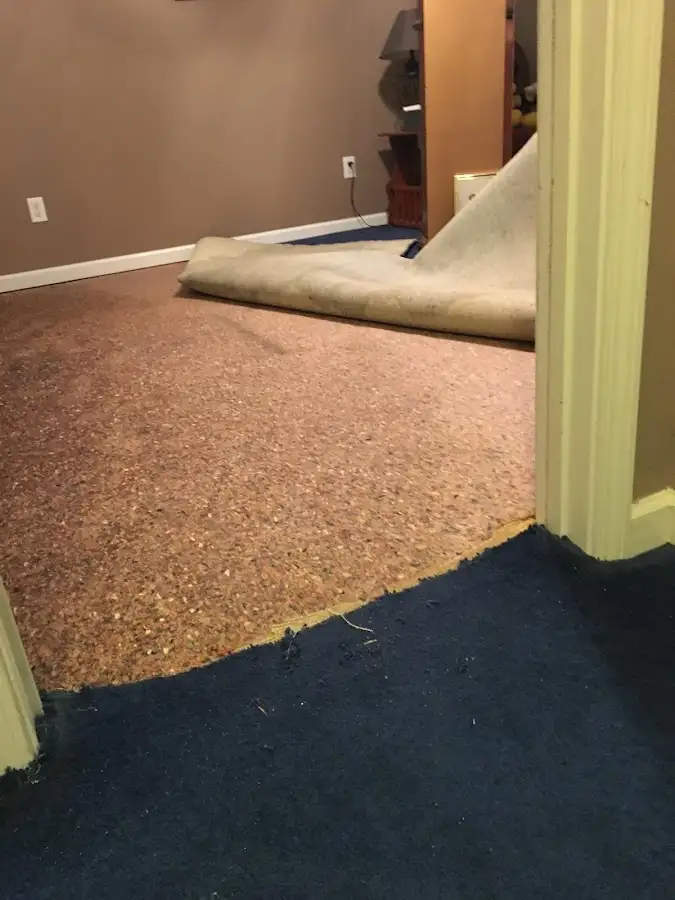Carpet pad removal revealing water damage during Water Mitigation Services in Fredonia