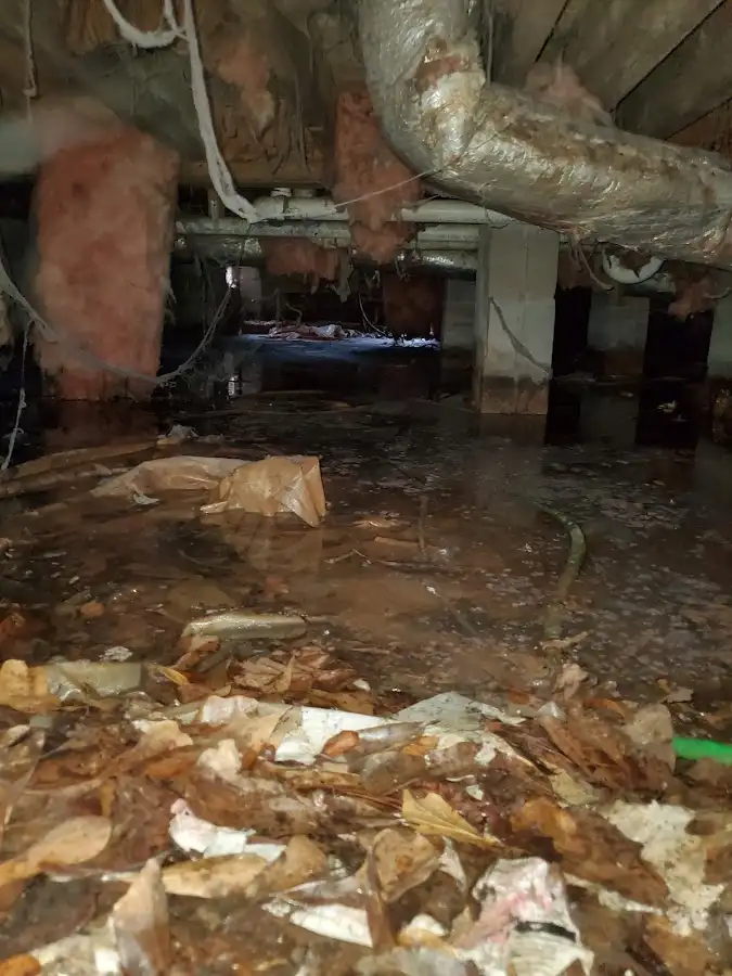 Crawl space flood assessment for Leak Detection & Repair in Fredonia